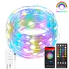 Saiten Smart Wifi Lichterkette LED RGB String Dreamcolor Wechsel mit Fernbedienung Musik Sync Garten Feiertage Dekoration