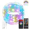 Strings Smart WiFi Fairy Lights LED RGB String DreamColor Verandering met afstandsbediening Muziek Sync Garden Holidays Decoratie