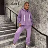 Glamaker Casual Violet lâche polaire survêtements pantalons costume femmes Oversize sweat à capuche élastique taille haute sarouel hiver 211221