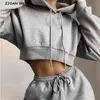 2 Pieces Set Harajuku Long Sleeve Hoodies Fleece Cropped Hooded Sweatshirt Elastic Waist Sport Pants Women Sweats 210429