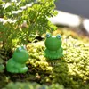 Dessin animé Blue Eye Petite Grenouille Ornement Figurine Poupée Jouet Enfants Cadeau Mousse Terrarium Micro Paysage Accessoires Fée Jardin DIY Décoration DH0575