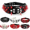 Colliers pour chiens Laisses DHL 100PCS Sharp Spiked Studded Collar Punk Leather Pet 2 pouces de largeur Fit For Medium Large Dogs