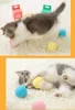 Smart Cat Toys Interactive Ball With Catnip Cats Training Toy Touch Sound Playing Ball Teaser Squeaky Toy For Kitten