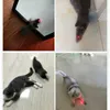 LED Laser Pet Cat Zabawki Red Dot Laser Light Toy Laser Widok Wskaźnik Pióro Interaktywna zabawka z Cat Hunting Choning