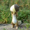 Everyday Collection Squirrel Animal Beeldje Miniaturen Fee Tuin Ornamenten Woondecoratie Vrienden Gift Bonsai Decor 211021