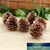 Christmas Decorations Year Holiday Party Decoration Pine Cones Pinecone Xmas Ornament For Home Parties Supplies 10pcs1 Factory price expert design Quality Latest