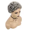 Synthetic Wigs Grandma039s Fashion Short Afro Curly Wig For Black Women Grey Wavy Natural As Real Party5819230