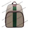 Famoso Ophidia Designers de luxo mochilas para mochilas de couro Mens moda sacos de compras clássico sacos de viagem Bags bolsas 547967 Tamanho 32 * 40.5 * 14.5cm
