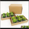 DELIZIONE DEL GARDEN DECORE 2021 12 pezzi di cactus carini mini set di piante succulente artificiali Candele per la decorazione della casa Candela tè Luce XM6793495