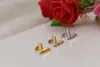 316L roestvrijstalen stud oorbellen voor vrouwen Rose Goldcolor v Letter Triangle Cute Earring sieraden Gift5078627