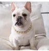 Hip Hop Teddy Fadou Dog Big Gold Chain Small and Medium Dogs Collar Pet Halsband utomhus katttillbehör 4 Färg DB694