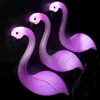 Solaire Flamingo Stake Light Lantern Powered Pathway Lights Extérieur Étanche Jardin Décoratif Pelouse Cour Lampe