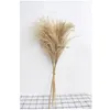 Real Pampas Grama Decor Natural Flores Secas Plantas Flores De Casamento Flores Seco Buquê Fluffy Lovely for Holiday Home Decor 494 R2