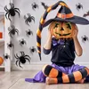 3d grandi adesivi di ragno Halloween Eve Feste Decorazioni per la casa Realistic Spiders Adesivo per la finestra della parete della camera Scarica Dis interdusta 12pcs/pacchetto th0101