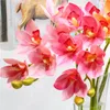 Flores decorativas grinaldas de flor de alto padrão Flor artificial 3D PRIMEIRA ORCHIDA BORTURAFIDA PLÁSTICO VERDE PLÁSTICO CYMBIDIUM Decoração doméstica
