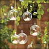 Vases Home Décor & Garden Ball Globe Shape Clear Hanging Glass Vase Flower Plants Terrarium Container Micro Landscape Diy Wedding Decoration