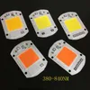 LED COB LAMP CHIP 20W 30W 50W AC 220V 110V Smart IC LED-lampor Pärlor DIY för strålkastare Spotlight Warm White Full Specturm Module Free Ship