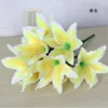 bride lily flower