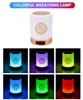 DIY Veilleuse Coranique Azan Bluetooth Koran Speaker Draadloze Draagbare Lamp LED Nachtlampje Islamitische Kids Gift Mp3 Coran Speler H1111