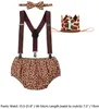 Men's Shorts Baby Boy Suit + Suspender Bow Tie Headdress 4-Piece Set