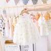 Baby Girls Summer Dress Clothes Princess Party Tulle Toddler Dresses For Newborn Party 1st Birthday Dress 0-2Y Vestidos Clothing Q0716