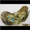 Свободные бусины Ювелирные изделия с доставкой 2021 Близнецы оптом 25 цветов 67 мм круглые в соленой воде Akoya Oysters Double Pearls Love Wish Pearl Gifts 72