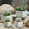 Keramiek Vierkant Bloemen Potten Mini Succulents Bloemen Pot White Office Desktop Bloempot Huis Tuin Accessoires Aangepast Logo BH6158 TYJ