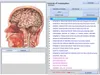 2023 Neuester 9D-ZELL-NLS-Computer All-in-One-Gesundheits-Körperanalysegerät, Massagegerät, nichtlineare Analyse, Diagnosesystem, automatische Therapie, Englisch, Spanisch, Französisch, Italienisch, Deutsch, DHL