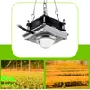 Square Cob Lead Grow Lights Control Full Spectrum Led Plant Growth Lamp inomhus Vegetabilisk köttig blomma Hydroponic Odling Supp2679884