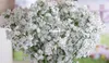 신부는 Gypsophila 결혼식 용품으로 가득한 시뮬레이션을 들고 있습니다. 가짜 꽃 가짜 꽃 바탕 화면 웨딩 장식 20pcs CX220210