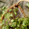 2 шт. Wicker Rattan Plant Хранение Корзина Цветочный горшок Держатель Настенный Настенный Плантар Висит Цветовое горшок Корзина Садовый Украшение Дома Y0910