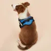 Uprząż Dog No Pull Oddychający Regulowany Kamizelka Pet Harness Outdoor Walking Dog Dostawy dla małych średnich Dużego Psy 210729