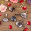 Natural Botswana Agates Stones Heart Perfume Bottle Pendant Necklace Women Onyx Gemstones Diffuser Vials Gold Chain Necklaces229w