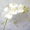 Lateks Gerçek Dokunmatik Yapay Orkide Çiçek Beyaz Kelebek Orkide Sahte Çiçek Ev Partisi için DIY Düğün Dekorasyon Flores RRB14063