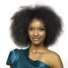 Fashion Men/Women Short BOB Synthetic Wig Celebrity Cheap Wigs Online Kinky Curly Hair For African American Top Quality Full Wigsfactory dir