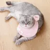 perro gato pañuelo bufanda cuello