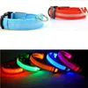 LED-huisdier halsbanden Night Safety Flashing Pets Glow in the Dark Leash Luminous Fluorescerend levert GGA2619