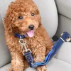 2pcs Cane Cat Cat Auto Safety Belt Regolabile Guinzaglio Pet Vehicle Seat Belt Harness Dog Lead Clip Sicurezza Leva di sicurezza Collo di trazione 211006