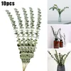 Fiori decorativi Corone 10pcs Natural Eucalyptus foglie foglie secche fiore di nozze decorare eucalipto steli per ornamenti domestici fai da te verde deco