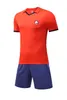 LILLE OSC22ニューメンズトラックスーツラペルフットボールトレーニングスーツアウトドアランニングTシャツファンバージョン短袖シャツ275y