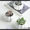 Planters POTS Simple White Succulent Plant Flower Holder Ceramic Owl Pumpkin Mönster Treetopformad bambuhylla Pot Planter Set T2654091