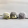 Mignon Mini Résine Hérisson Micro Paysage Miniature Fée Animal Moss bouteille Plantes Succulentes pot décoration accessoires écologiques résine artisanat DH9585