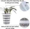 Meshpot Pot De Fleur En Plastique Double Couches Orchid Planter Container Améliorer La Quantité De Racine Et L'activité Planteur Décoration De La Maison 210712