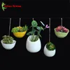 Hängende Keramik-Sukkulenten-Pflanzen-Blumentopf, Mini-Töpfe für Pflanzen, grüne Pflanze, Pflanzgefäße, Halter, moderne Heimbüro-Wanddekoration 210401