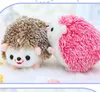 12cm brinquedo de pelúcia fabricante personalizado hedgehog saco pingente pingente boneca boneca boneca para crianças brinquedos infantis presentes 746 x2