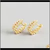 Hie JewelryReal 925 Sterling Vintage Style Leaves Earrings Sier Leaf Gold Fashion Hoop Zircon Girls for Girls and Women 1191n