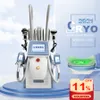 Cryolipolysis Fat Freezing Slimming Machine For Belly Legs Arms Slim Home Salon Use Body Shaping Cooling Sculpt