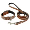 Collari per cani Guinzagli Imbottiti in pelle con borchie Collare a spillo Set guinzaglio per cani S M L4260007