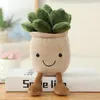 Realistic tulip meat plant plush stuffed toy soft bookshelf decorative doll creative potted flowers throw pillow children gift 2030 Y2