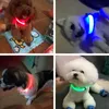 Colliers de chien de compagnie rechargeables USB LED collier lumineux collier clignotant lumineux en plein air marche nuit fournitures de sécurité 8894821